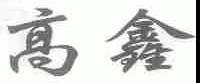 高鑫
