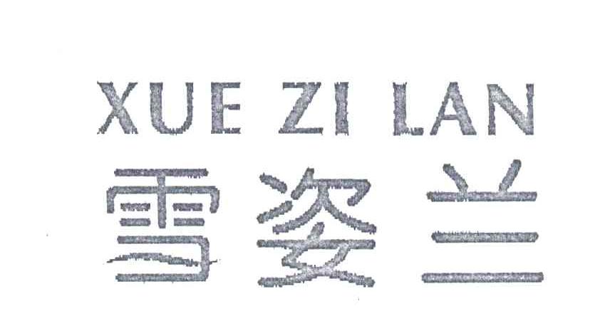 雪姿兰