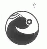 图形