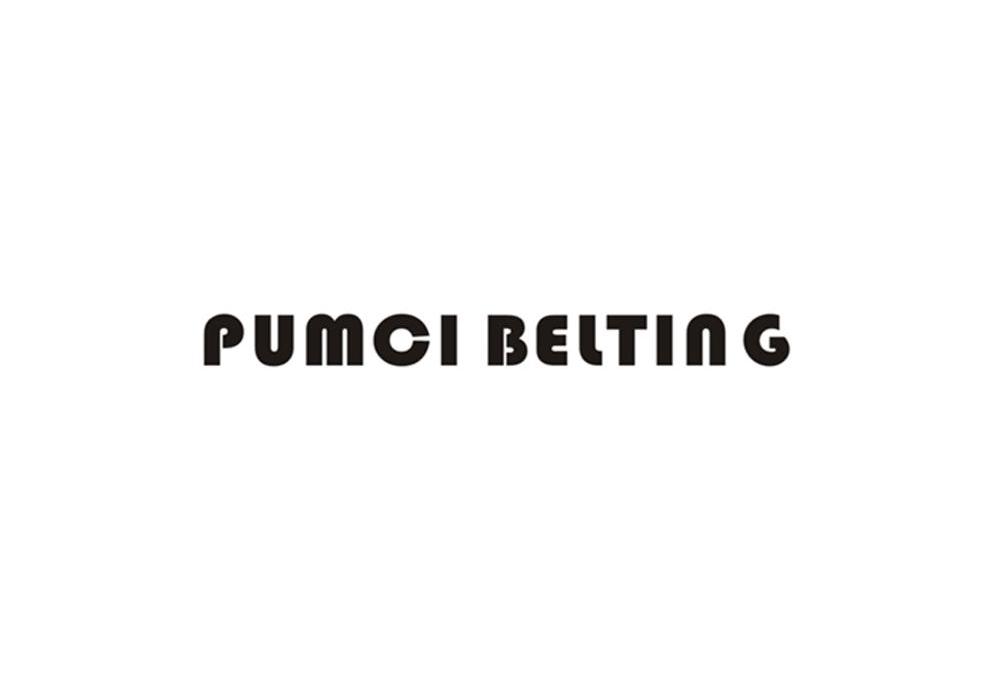PUMCI BELTING