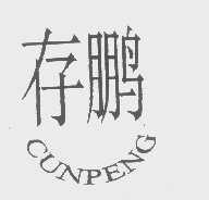 存鹏
