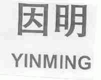 因明