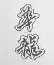 华龙