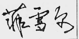 菲雪尔