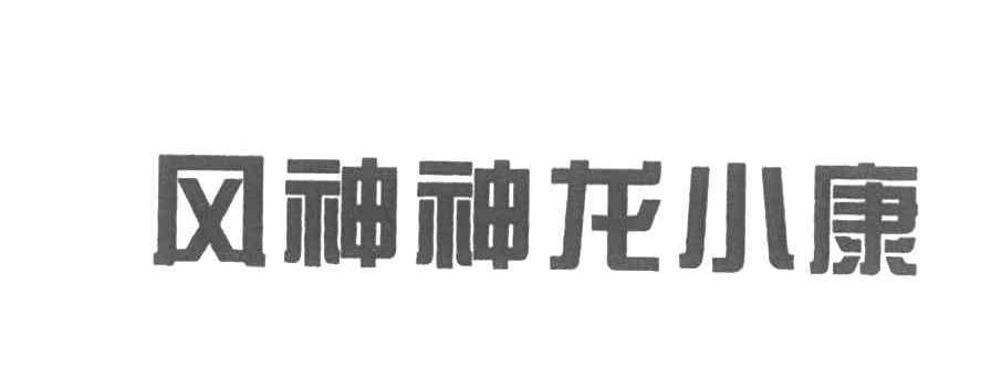 风神神龙小康