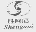 胜阿尼