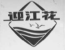 迎江花