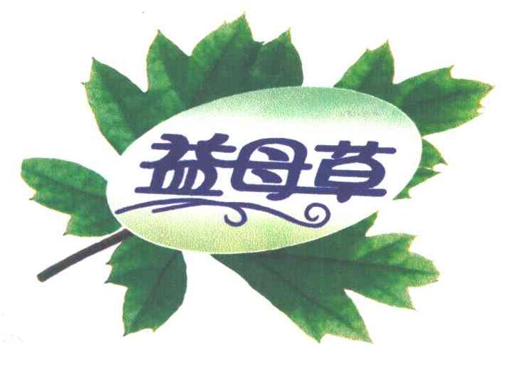 益母草