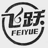 飞跃