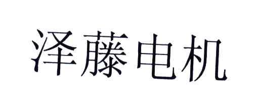 泽藤电机