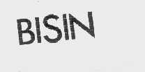 BISIN