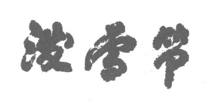 泼雪节