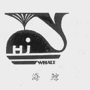 海鲸