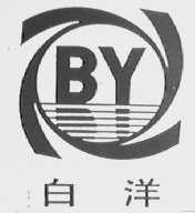 白洋