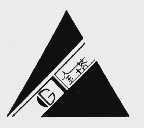 金塔