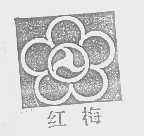 红梅