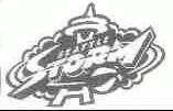 SEATTLE STORM