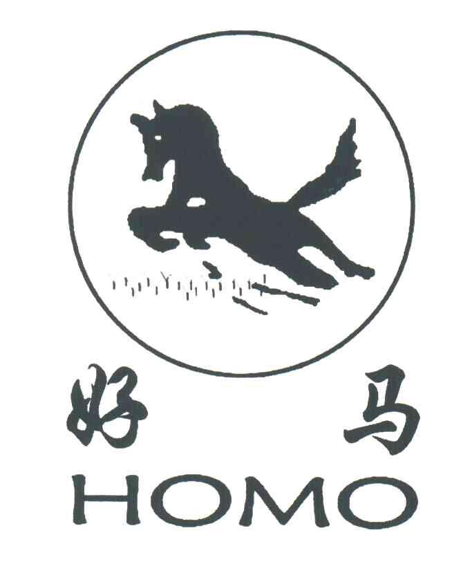好马;HOMO