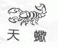 天蝎