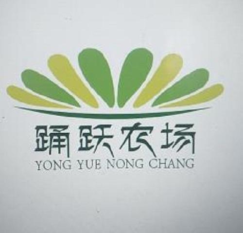 踊跃农场