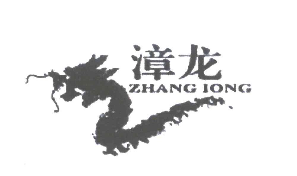 漳龙;ZHANG LONG