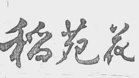 稻苑花