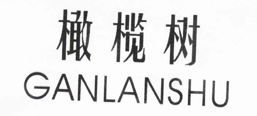 橄榄树