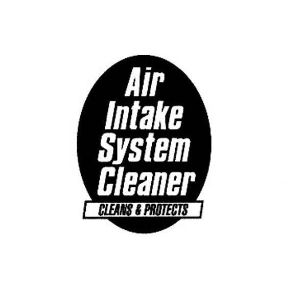 AIR INTAKE SYSTEM CLEANER CLEANS&PROTECTS