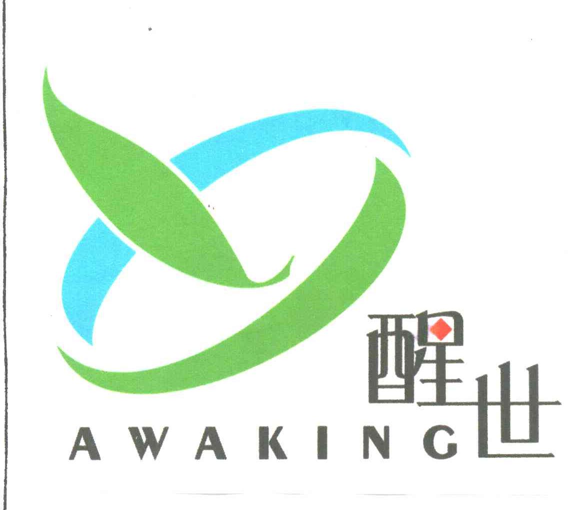 醒世;AWAKING