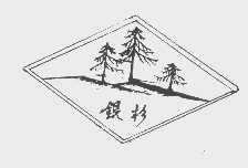 银杉