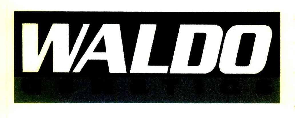 WALDO