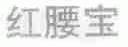 红腰宝
