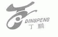 丁鹏