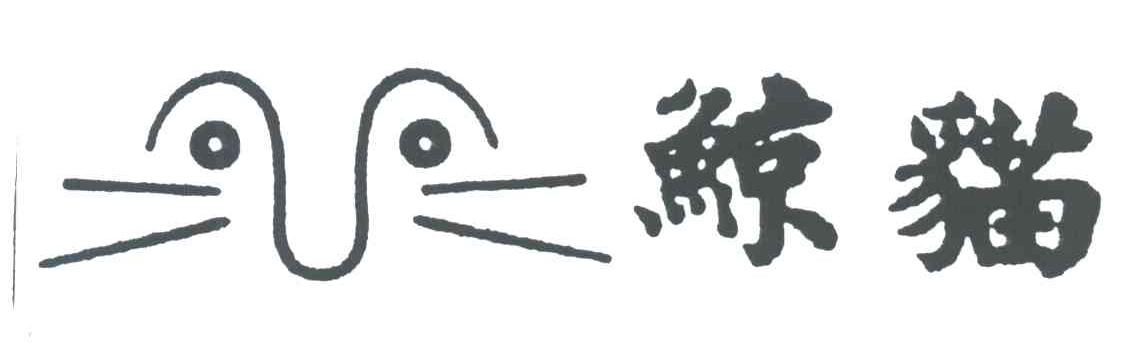 鲸猫