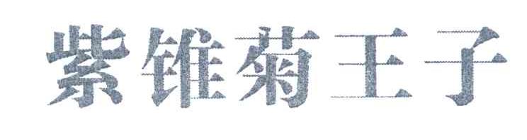 紫锥菊王子