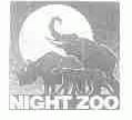 NIGHT ZOO