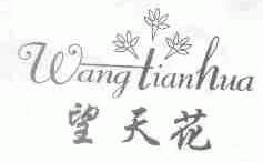 望天花