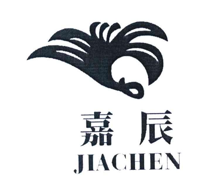 嘉辰