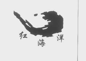 红海洋