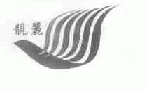 靓丽