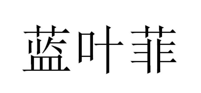蓝叶菲