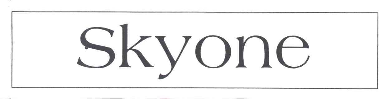 SKYONE