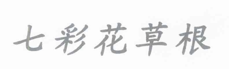 七彩花草根