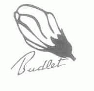 BUDLET