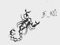 天蝎