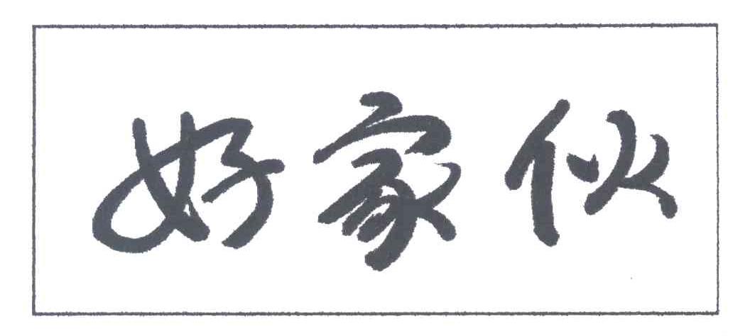好家伙