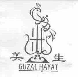 美生;GUZAL HAYAT