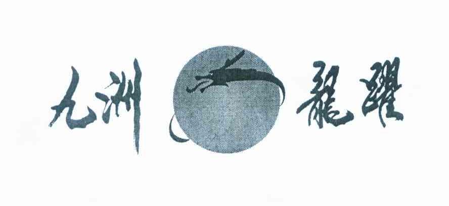 九洲龙跃