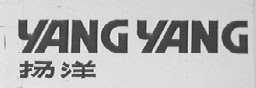 扬洋