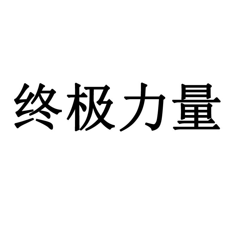 终极力量